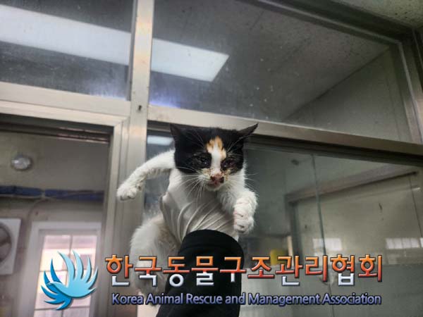 한국동물구조관리협회_411304202400687